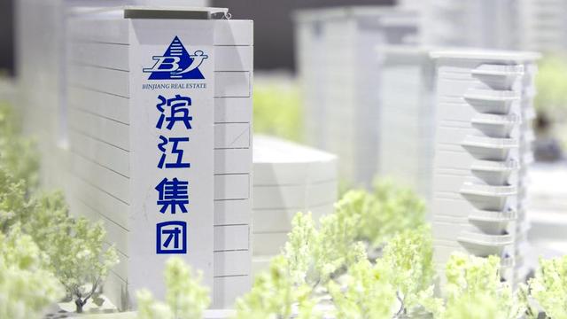 滨江集团 视觉中国 资料图