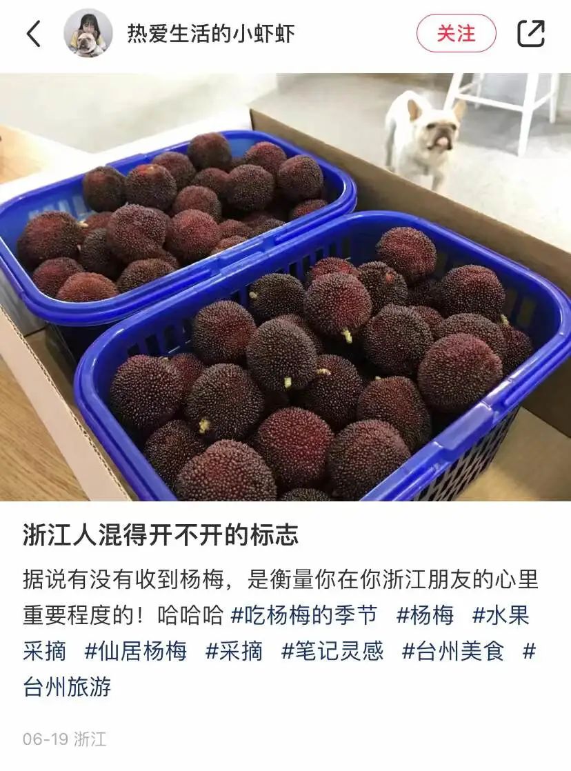 图源：小红书截图