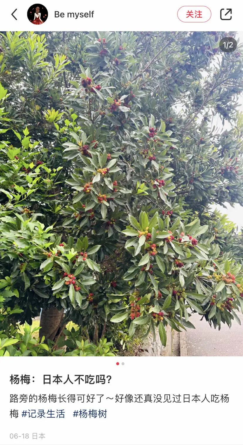 在日本的网友发出疑问 | 图源：小红书截图