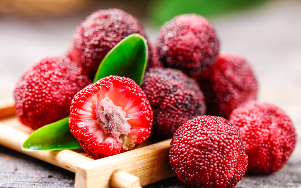 东魁杨梅 | 图源：图虫创意