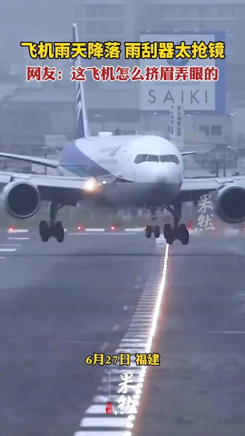 飞机雨天降落雨刮器太抢镜 网友：这飞机怎么挤眉弄眼的