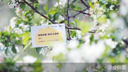 我爱我家助农公益林