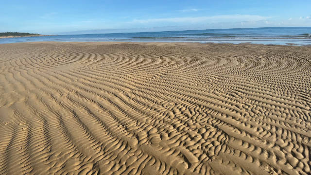 沙滩上一道道有规律的痕迹是怎么产生的