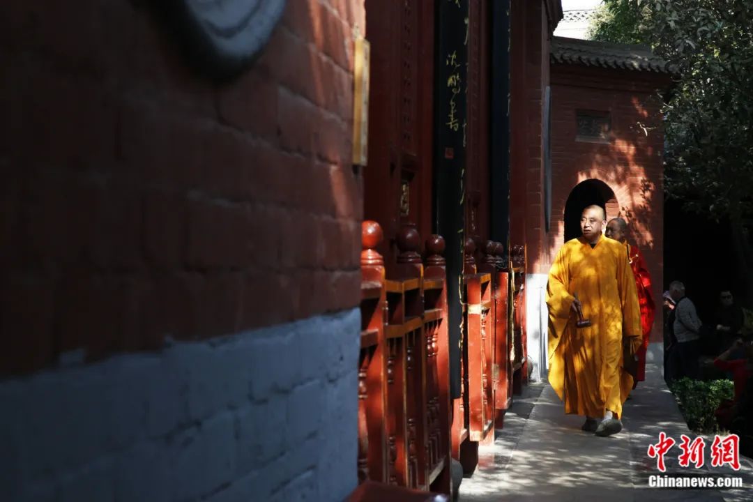十宗罪为什么要写柳营,十宗罪为什么要写柳营的故事