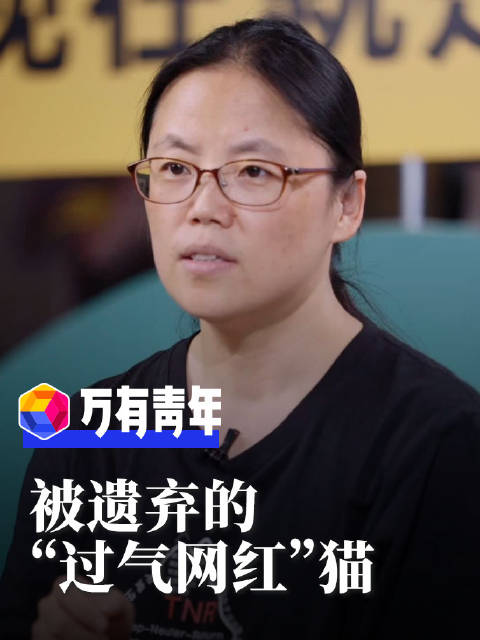 当热度退下之后，曾经的“网红”猫逐渐出现在了领养中心……