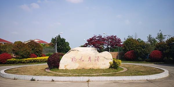 清丰夏天游玩攻略,清丰夏天游玩攻略一日游