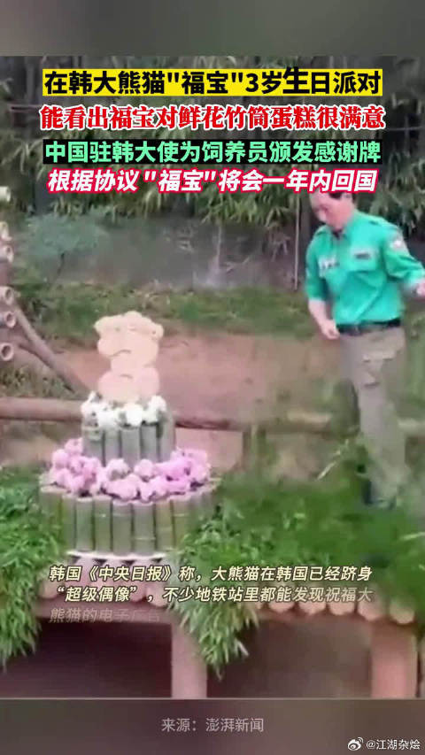 在韩大熊猫福宝3岁生日派对，能看出福宝对鲜花竹筒蛋糕很满意！
