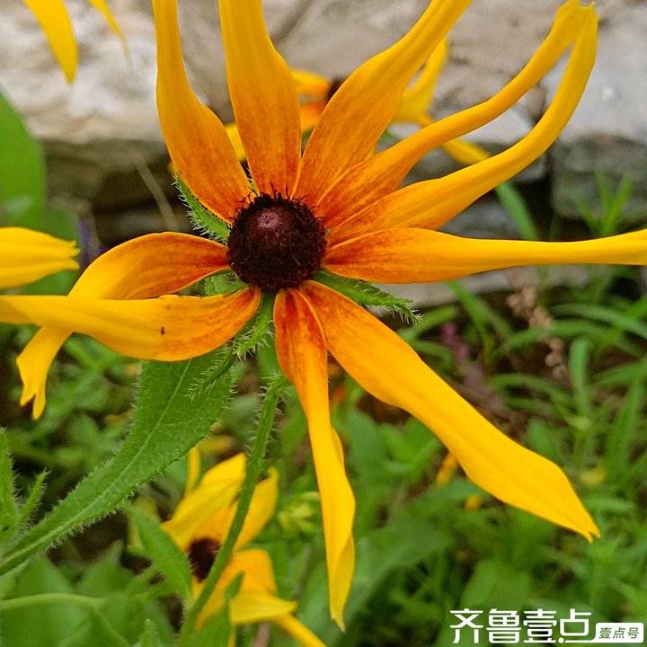 揭秘报料内幕：区分92场95场98场服务，2025实测指南大解析