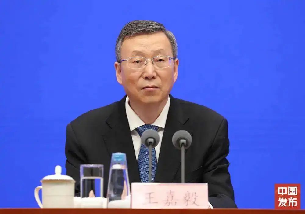 教育部副部长、成都大运会组委会副主席王嘉毅 图源:四川发布