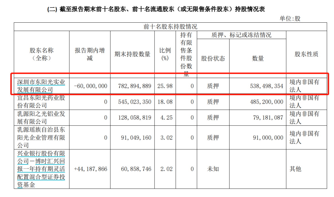 东阳光前十名股东 来源:2022年财报