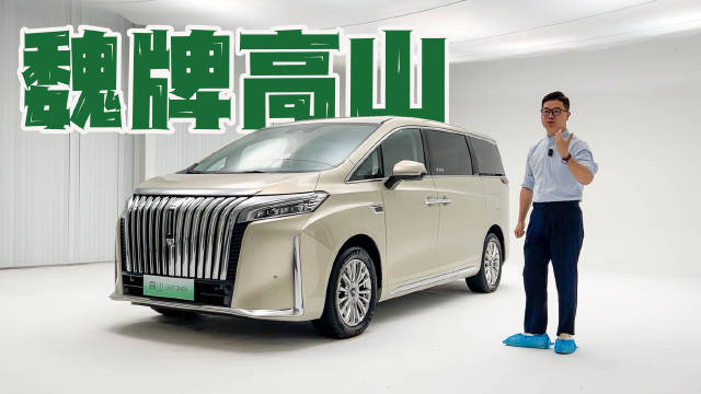 静态实拍魏牌高山：腾势D9，放学别走！