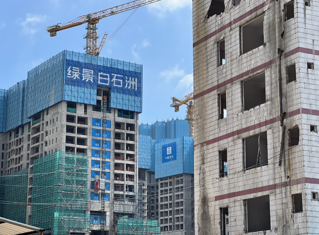 (正在建造的绿景白石洲项目旁边,很多空置的拆迁楼)