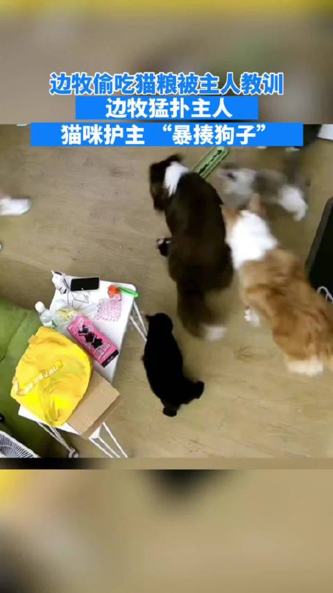 郭彦甫