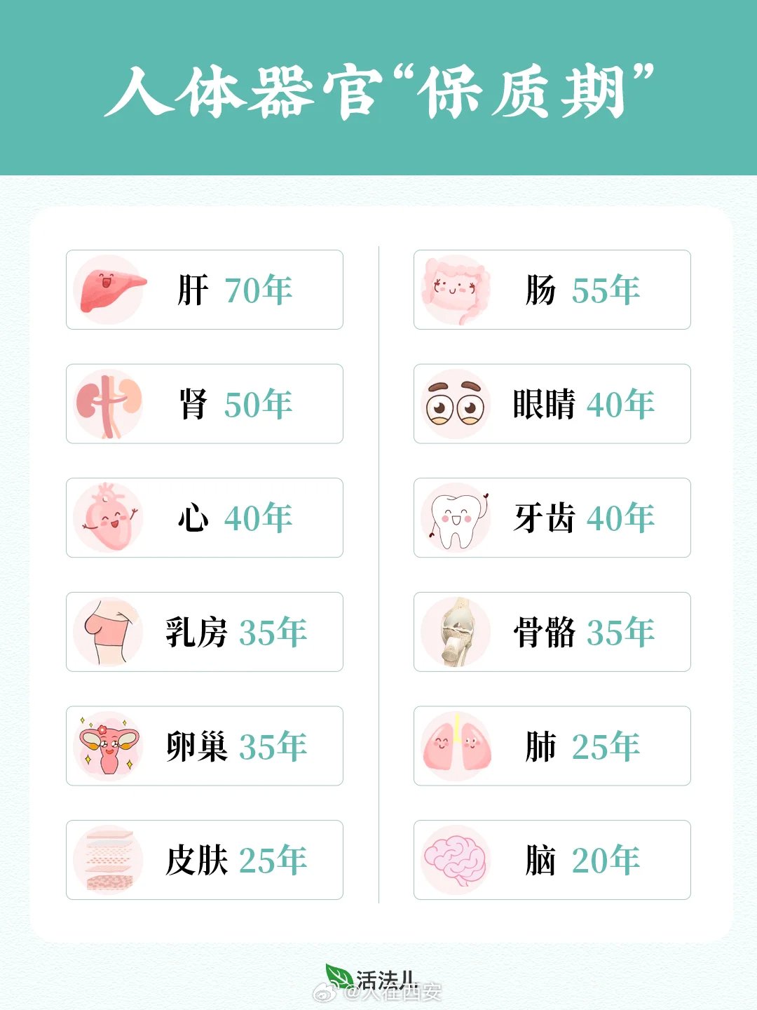 包小姐快餐过夜安全分析,夜间食品保存的隐患与对策