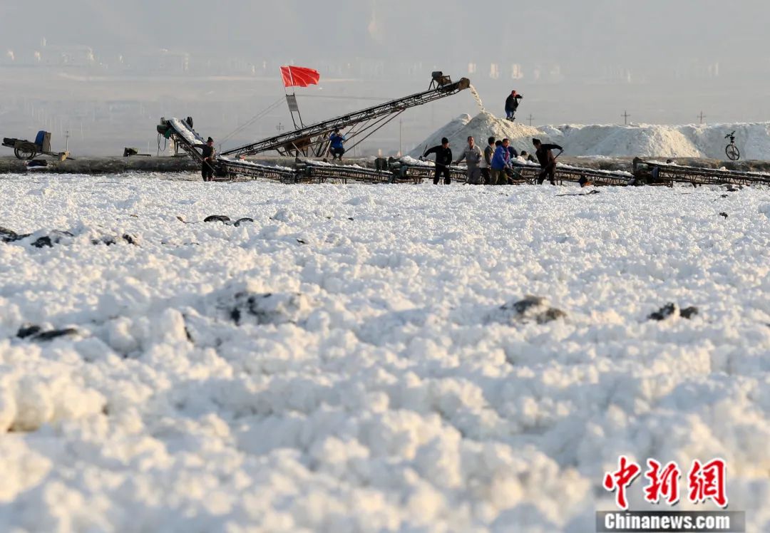 2019年1月,在山西运城130多平方公里的盐湖上,工人们采用人工加机械的方式收芒硝。姜 华 摄