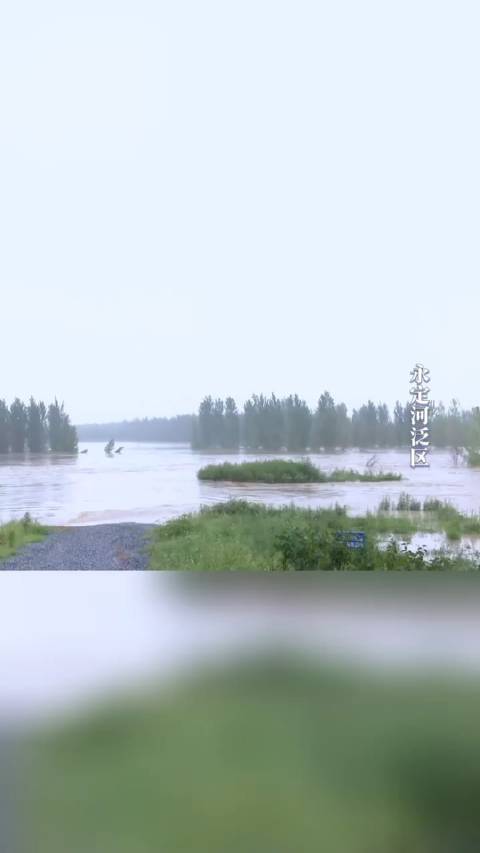 廊坊 8月1日2时、2日6时相继启用东淀蓄滞洪区和永定河泛区