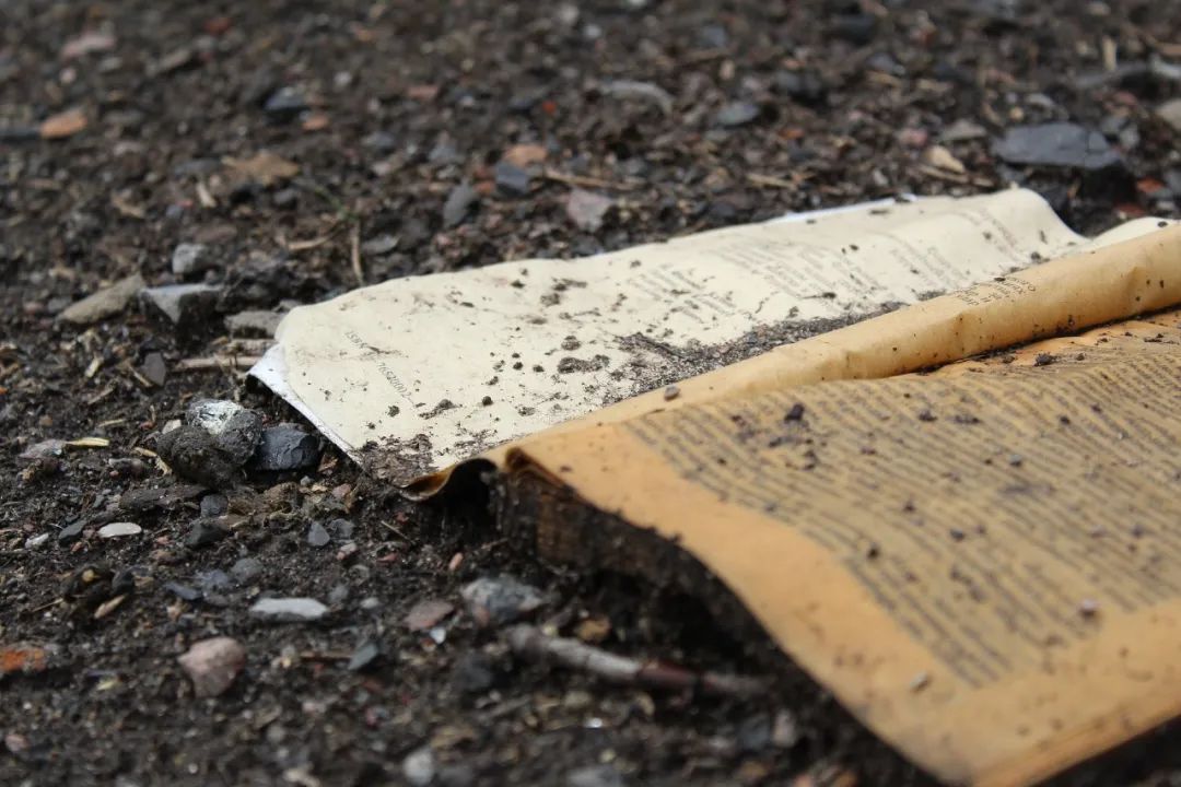 环京图书产业带,在暴雨中浮出水面