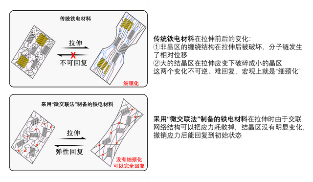 弹性铁电的概念和合成策略示意图。