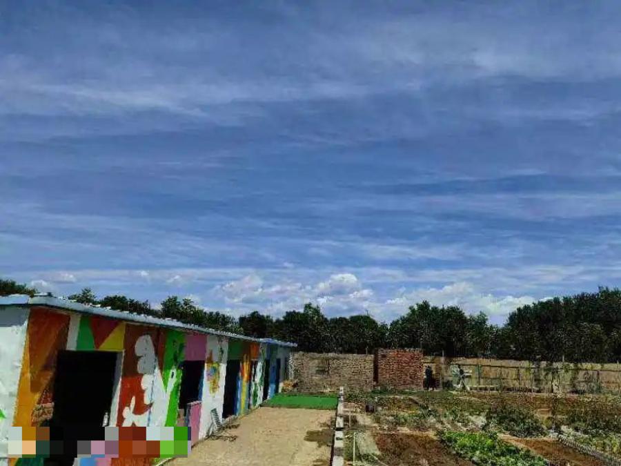 北上广的年轻人，周末扎堆「共享菜地」