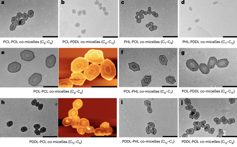 浙理工团队精准构筑具有不同结晶核的二维纳米材料，可作为药物递送载体