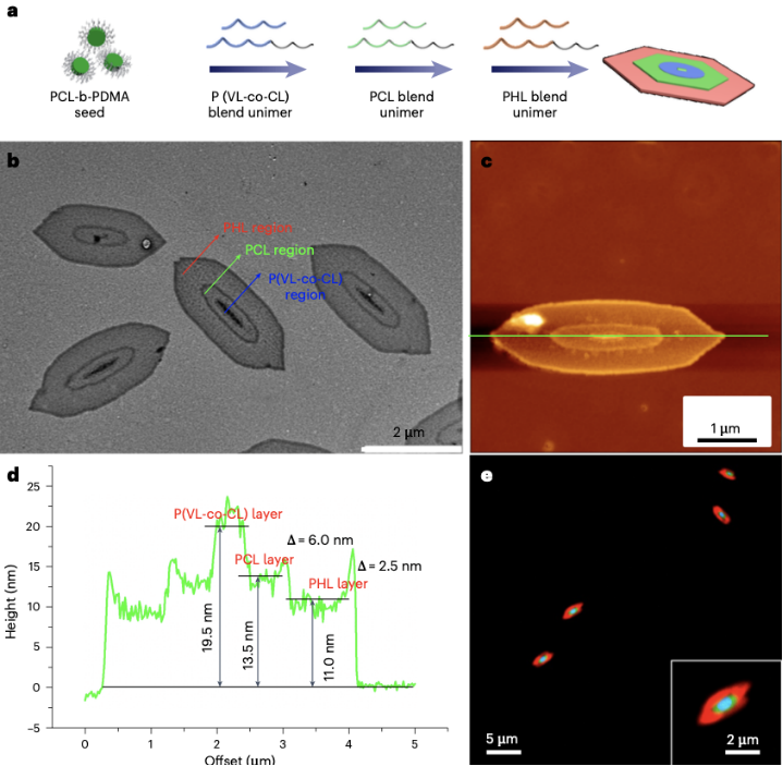 浙理工团队精准构筑具有不同结晶核的二维纳米材料，可作为药物递送载体