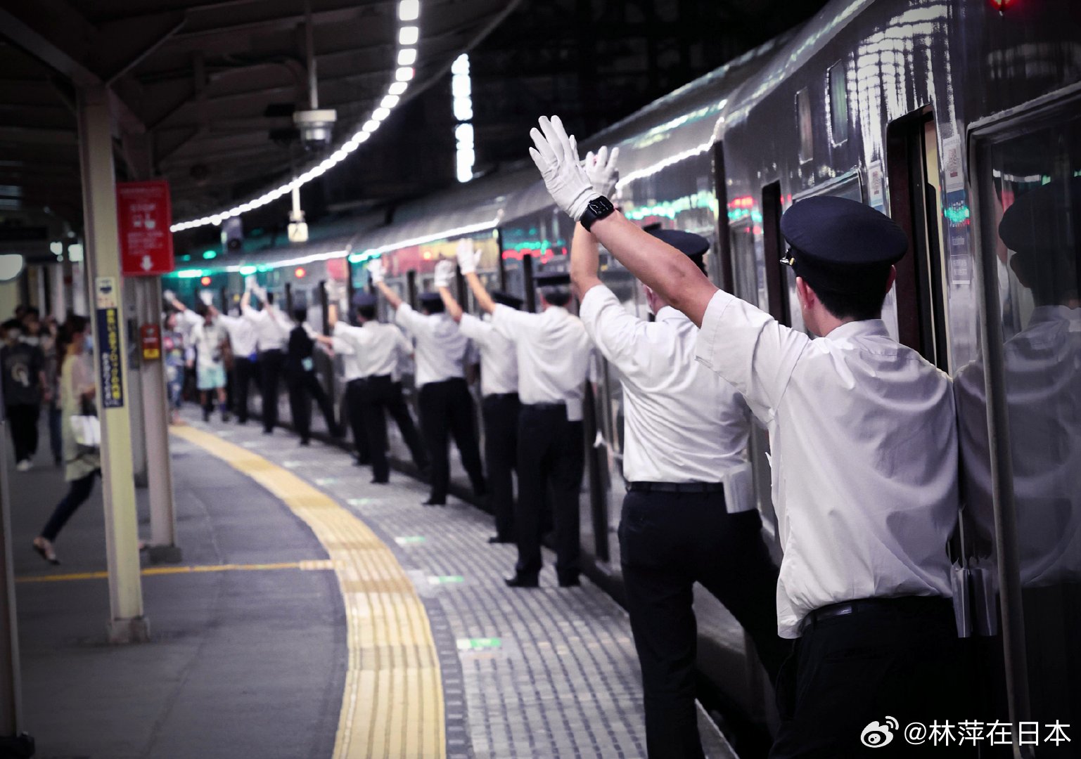 日本网友前2天拍到的一幕……日本_新浪新闻