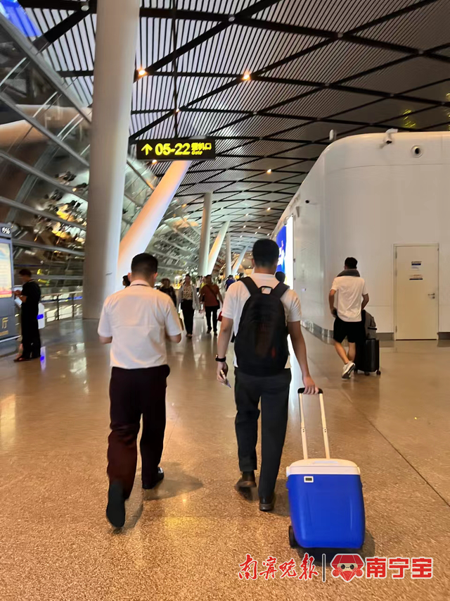 北部湾航空地服人员引导携带人体器官的医护人员前往登机口