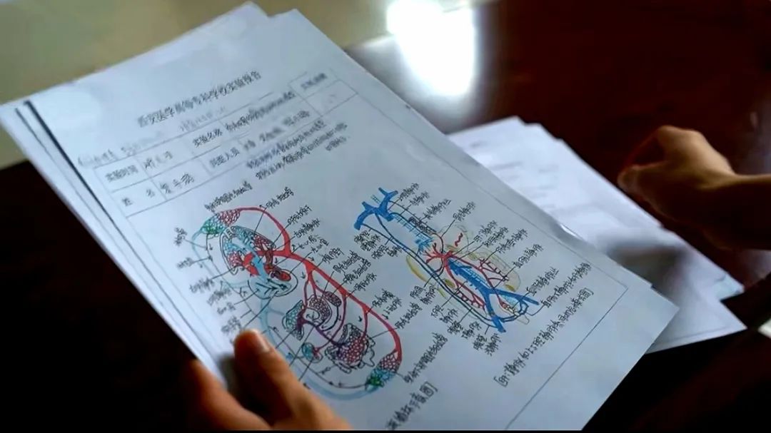 最昂贵的稿费 打一成语,最昂贵的稿费打一成语答案