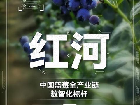 数智化产业链，佳沃集团带动红河州高原特色农业实现产业振兴！