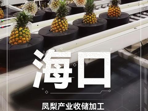 佳沃集团海口凤梨特色农业，助力农业数字化产业振兴