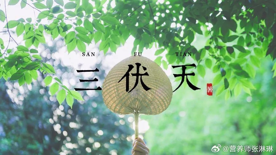 三伏到来农村老人说入伏之后有六怕 为何入伏后要六防