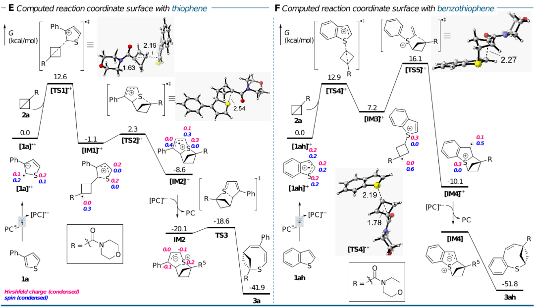 分子编辑再迎重要成果：武大校友提出“环并环”策略有望合成具备药理效用的化学分子