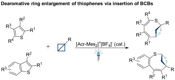 分子编辑再迎重要成果：武大校友提出“环并环”策略有望合成具备药理效用的化学分子