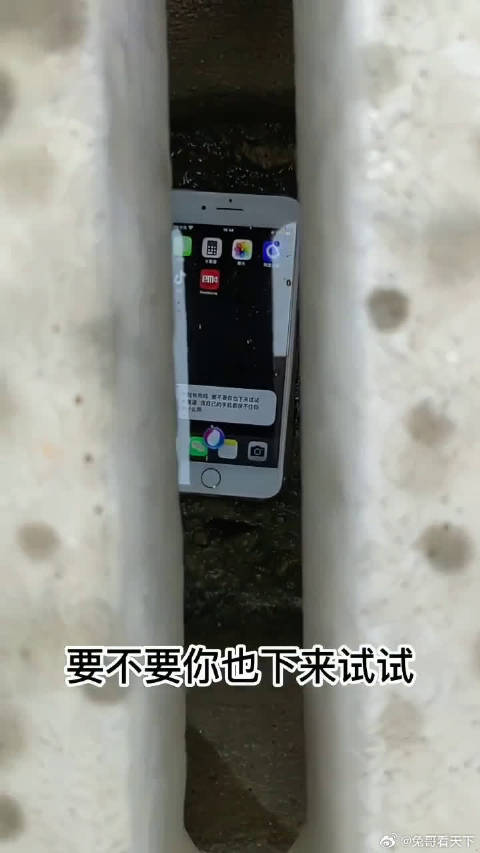 说的真心话