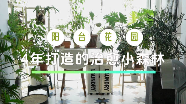 装修之初，对阳台并没有特别看重，毕竟面积小，屋顶斜……