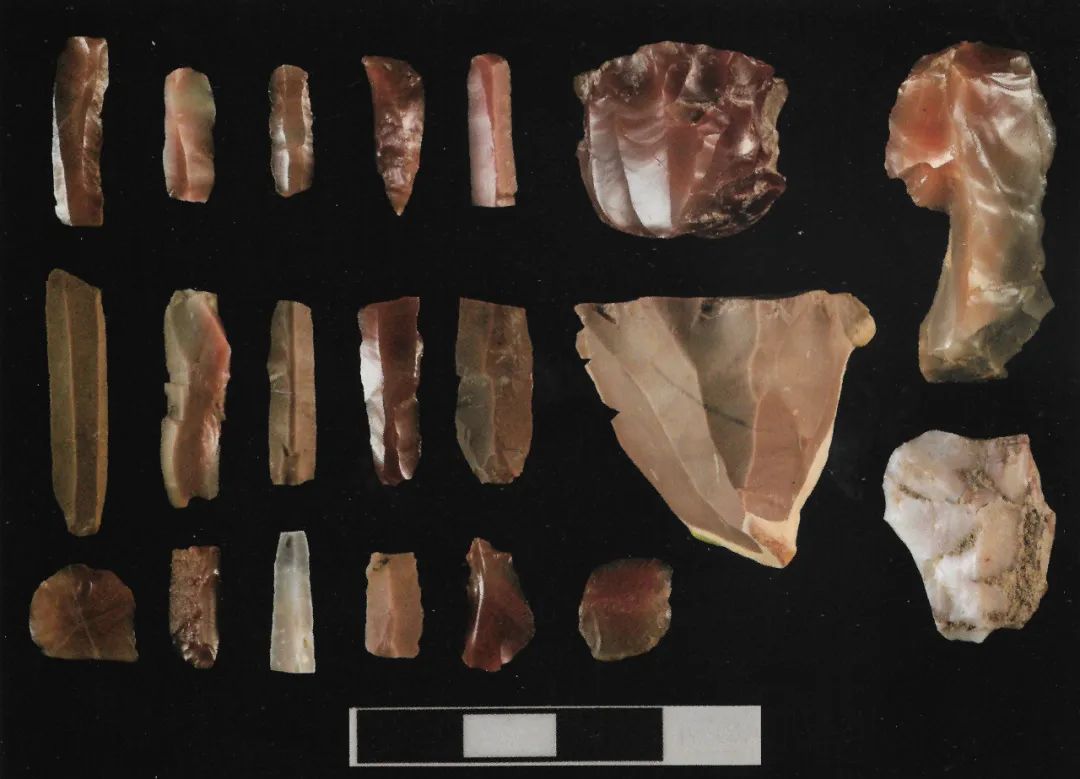 水洞沟猿人（水洞沟原始人）