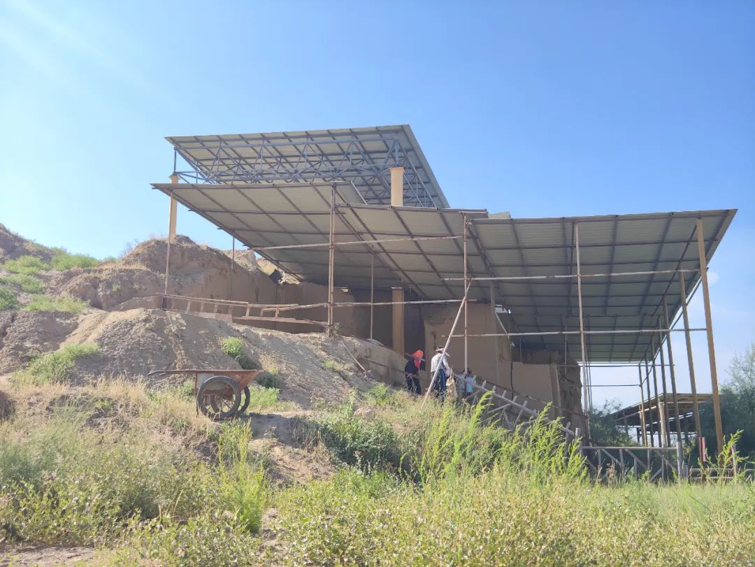 水洞沟猿人（水洞沟原始人）