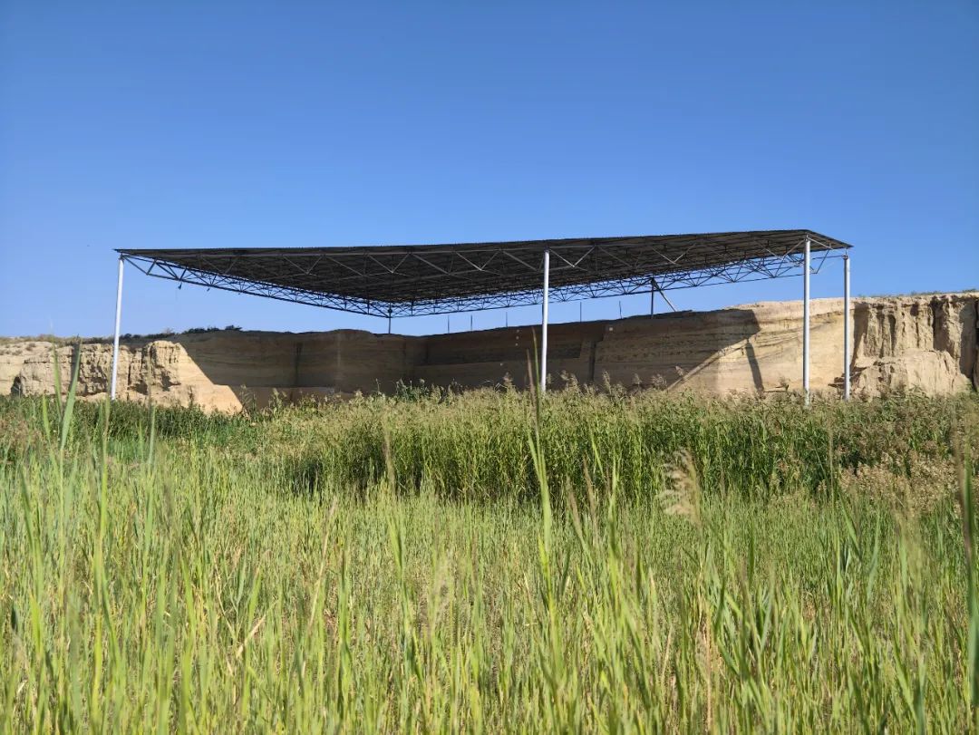 水洞沟猿人（水洞沟原始人）