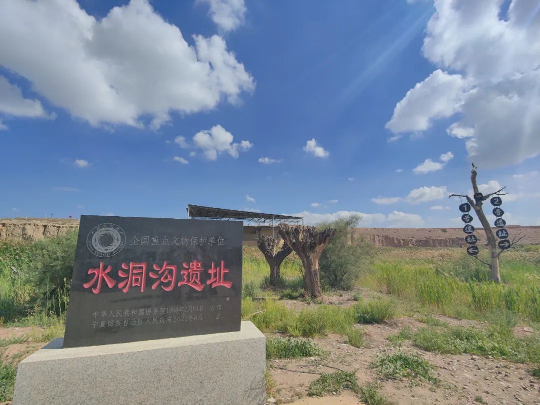 水洞沟猿人（水洞沟原始人）