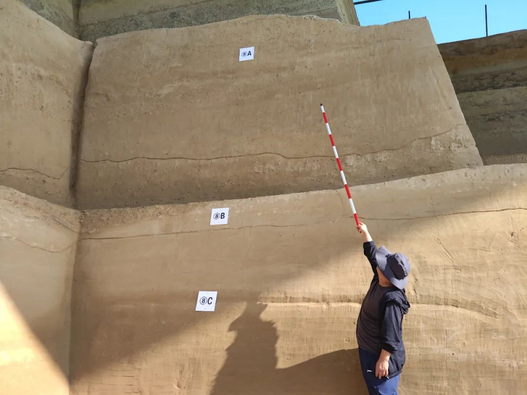 水洞沟猿人（水洞沟原始人）