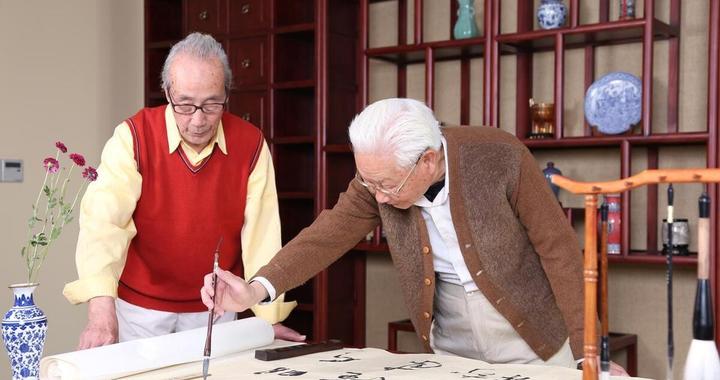 小树林50块钱的生存智慧：城市边缘的经济样本