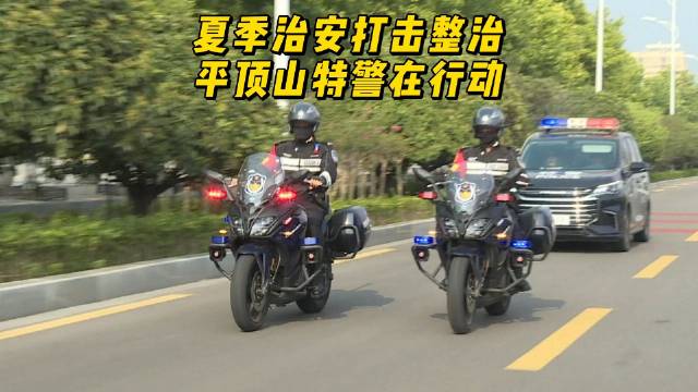 季治安打击整治行动开展以来，平顶山特巡警重拳出击……