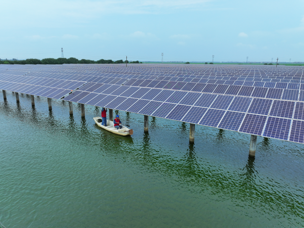 8月12日，南昌市新建區鬆湖鎮藥湖上的太陽能光伏板。（黃枚峰 攝）