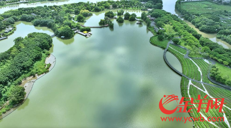 海珠国家湿地公园是广州城央的绿洲