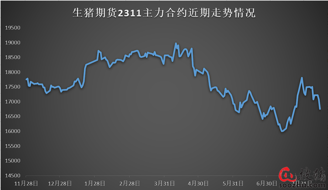生猪期货合约讲解【生猪期货】主力合约放量下跌，多头或认输出局,第8张