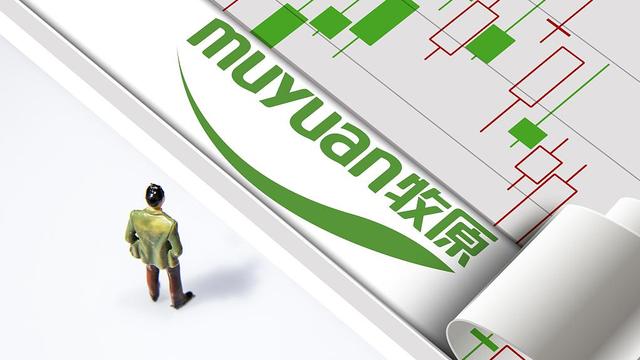 牧原股份 视觉中国 资料图