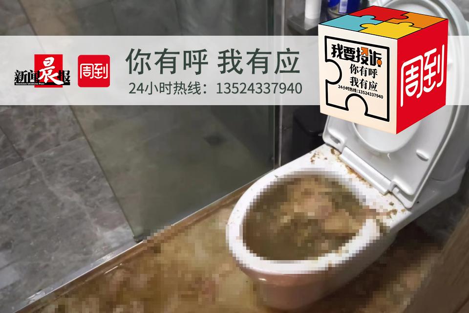 本文图片均为周到上海 图