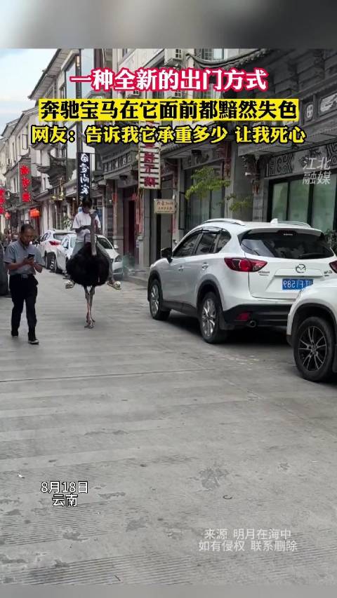 看看一种全新的出门方式，奔驰宝马在它面前都黯然失色