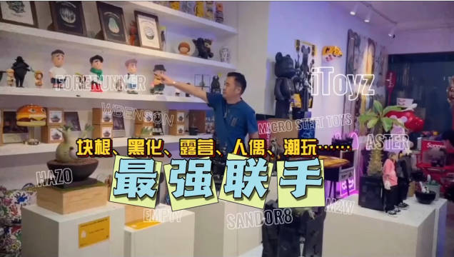 为什么年轻人选择了块根与潮玩，“珍奇玩植”展览解锁秘密……