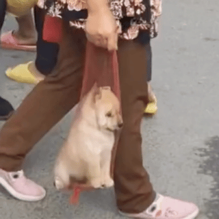 是谁的原因控制不住哼唧这几天说话别人，听不见是自己说话时间短的原因控制不住得对方由听不敢说怎么办？